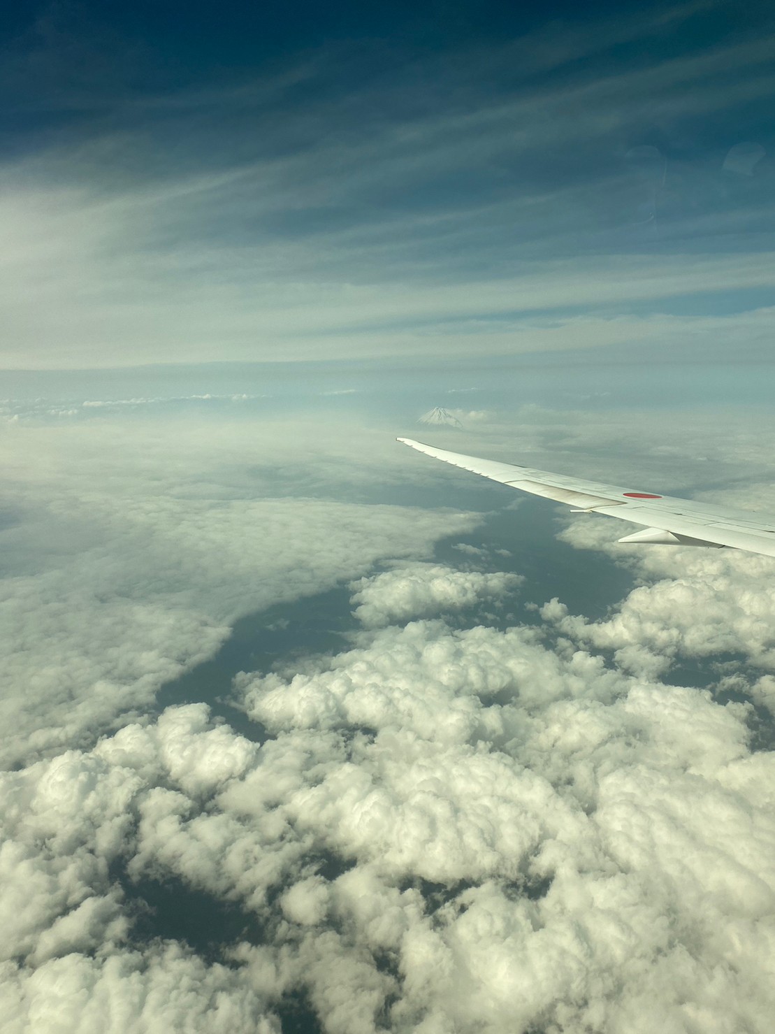 飛行機からの景色